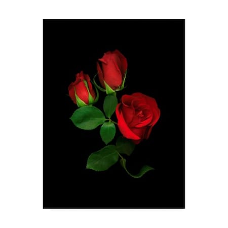 Susan S. Barmon 'Red Roses' Canvas Art,14x19